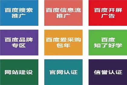 某某sem推广公司在某行业的应用与效果分析